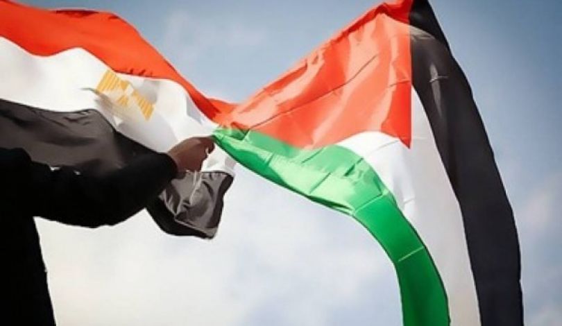 مصر تؤكد دعمها لفلسطين بطرح بند حول التلوث البيئي أمام جمعية الأمم المتحدة للبيئة