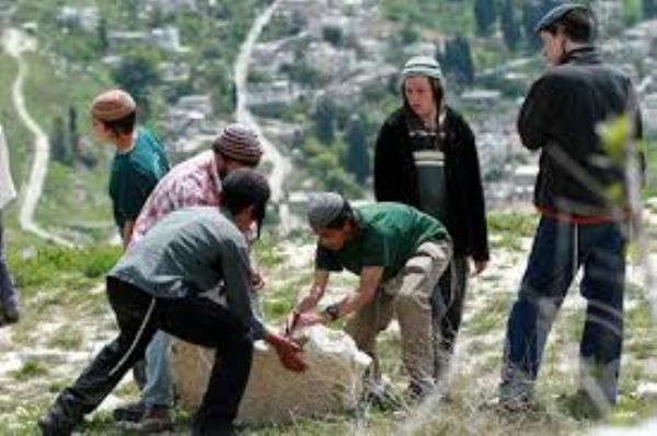 “الخارجية الألمانية”: التوسع الاستيطاني في الضفة يشكل تهديدا خطيرا لحل الدولتين