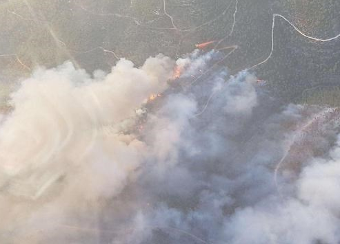النيران تستعر- احتراق 2000 دونم في جبال القدس