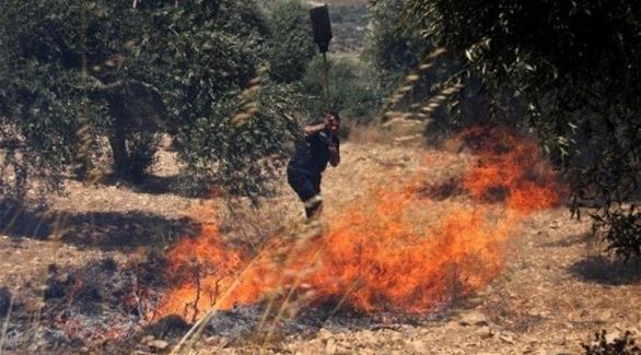 تحذيرات من تحريض يهودي على حرق قرى فلسطينية