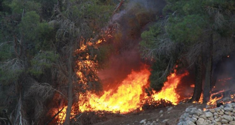 مستوطنون يشعلون النار بأراضي المواطنين جنوب نابلس