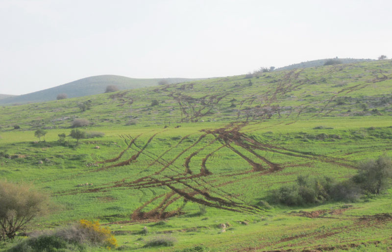 الاحتلال يدمر عشرات الدونمات الزراعية في الأغوار