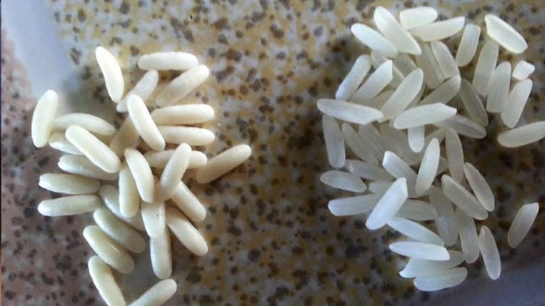 كيف تكتشف الأرز البلاستيكي المغشوش؟