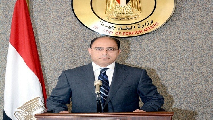 الخارجية المصرية: مبادئ كيري لإحياء عملية السلام تنسجم مع رؤيتنا
