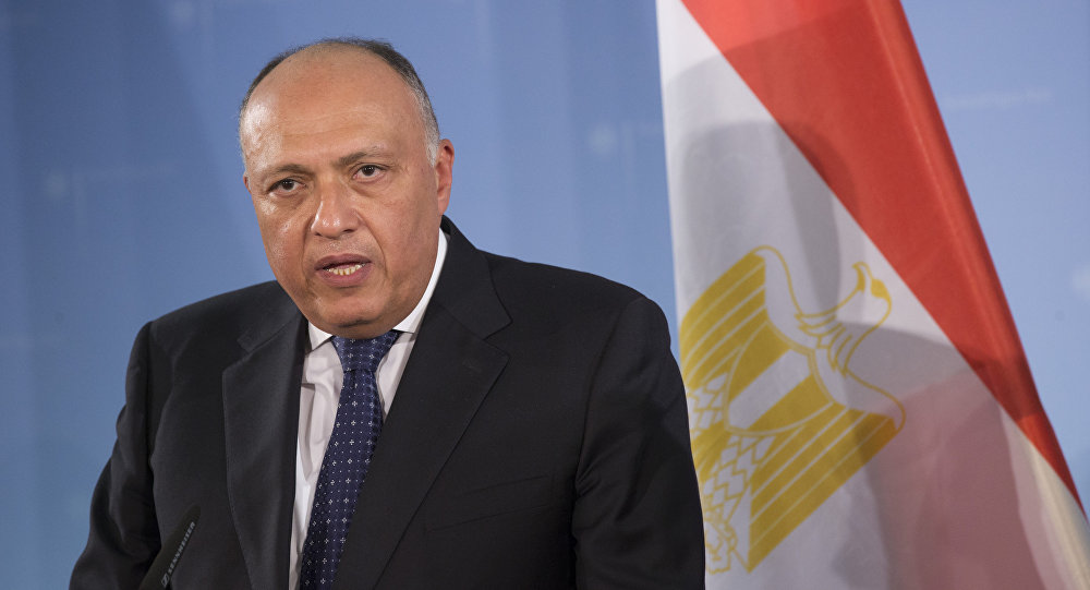 45 سياسيّاً ليبيّاً يختتمون لقاءاتهم مع مسؤولين مصريين بالقاهرة