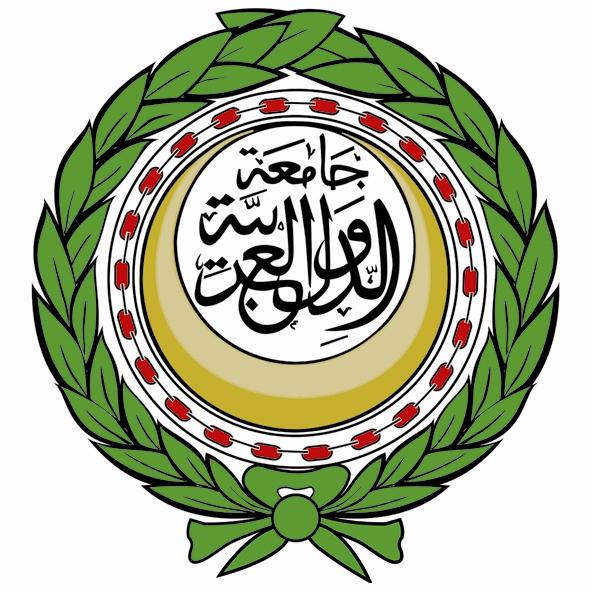 الجامعة العربية تتلقى دعوة للمشاركة في مؤتمر باريس للسلام