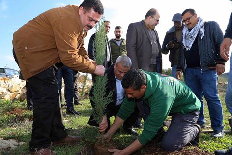 قلقيلية: زراعة أشجار حرجية في قرية عزبة الطبيب بيوم الشجرة
