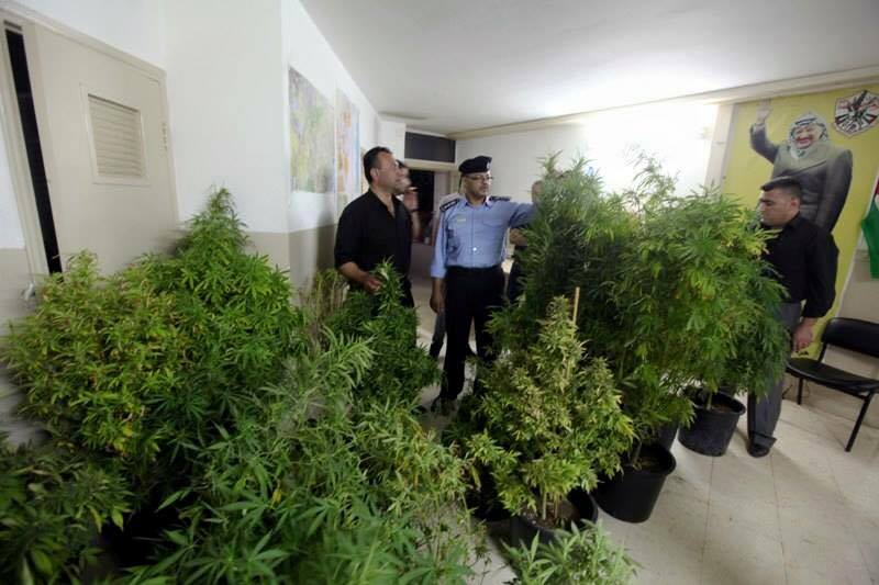 بيت لحم: الاستخبارات العسكرية تضبط ٣ مشاتل للمخدرات