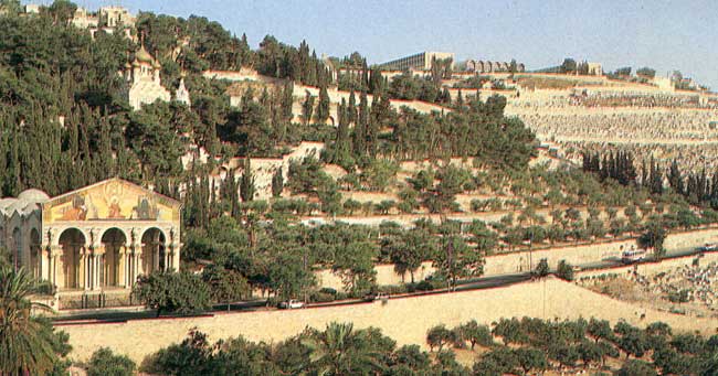 جبل الزيتون.. مكانة دينية وسياحية واستراتيجية