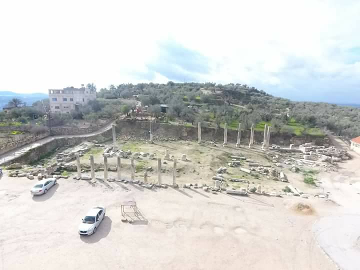 مستوطنون يقتحمون الموقع الأثري في سبسطية والإحتلال يمنع قطف الزيتون