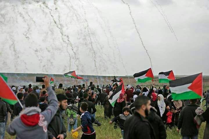 “بتسيلم” يحذّر الاحتلال من تكرار مجزرة غزة