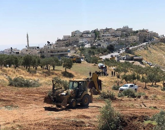 القدس: اعمال تجريف واقتلاع اشجار في صور باهر