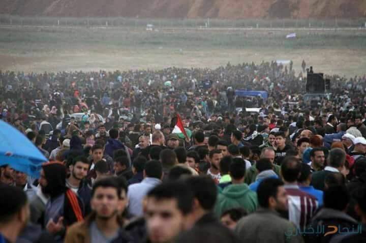 أبو يوسف: إضراب شامل يوم غد حدادا على أرواح الشهداء الذين ارتقوا اليوم في قطاع غزة