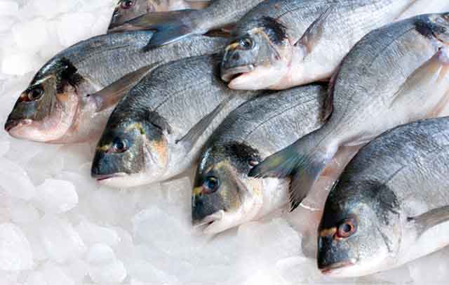 النيابة الكويتية تحقق في قضية “المسامير داخل الأسماك”