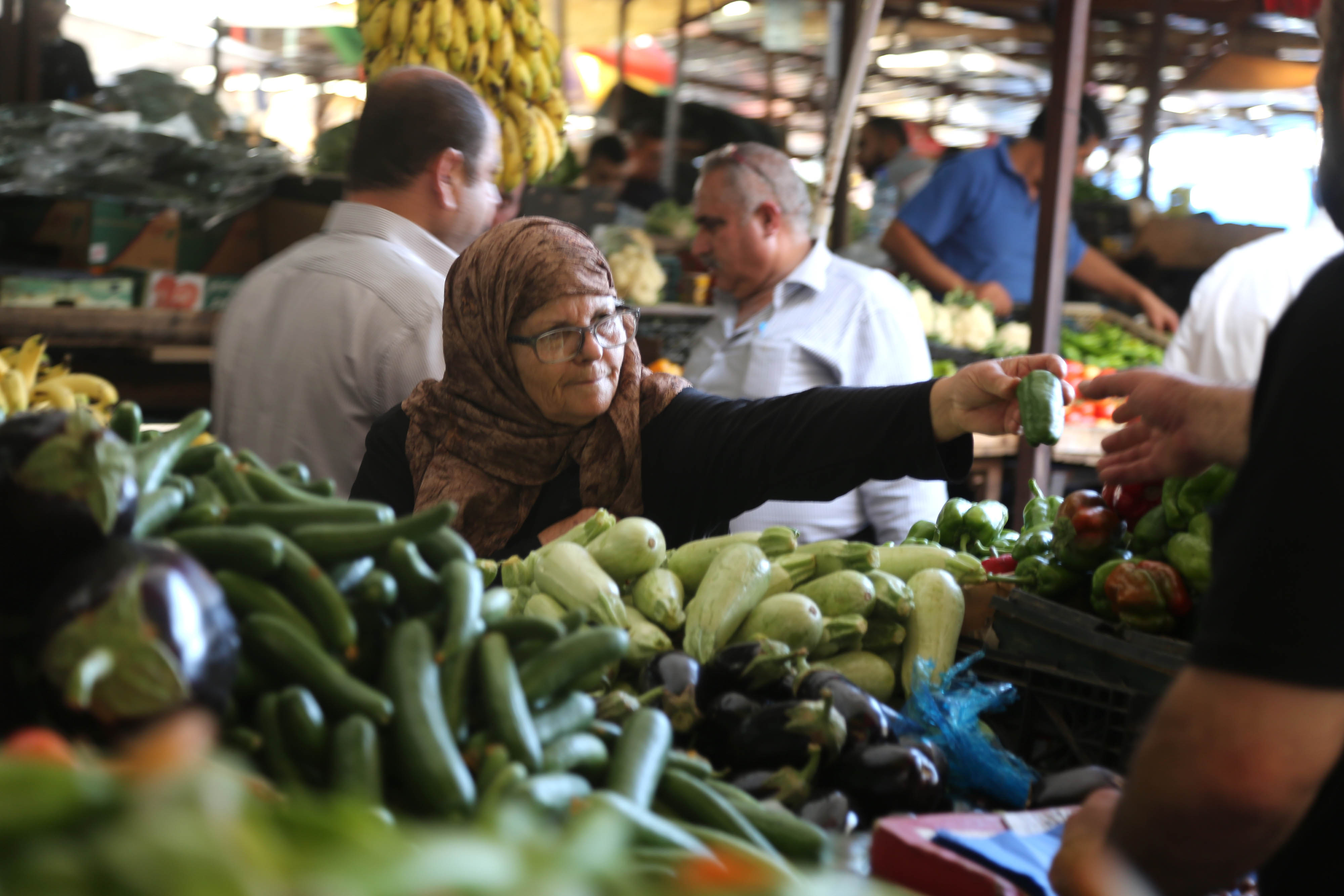 “الإحصاء”: ارتفاع أسعار المنتج خلال شهر تموز الماضي