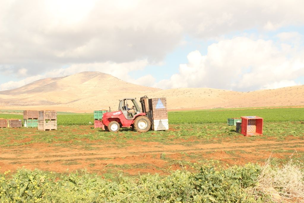 مكرمة رئاسية لسكان المناطق المستهدفة بالأغوار