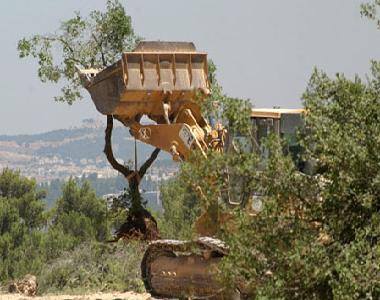 الاحتلال يجرف أراضي جنوب بيت لحم لشق طريق استيطاني