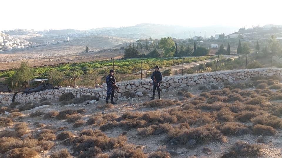 الشرطة و الوطني يضبطان مشتلاً للمخدرات في قرية الزعيّم شمال شرق القدس