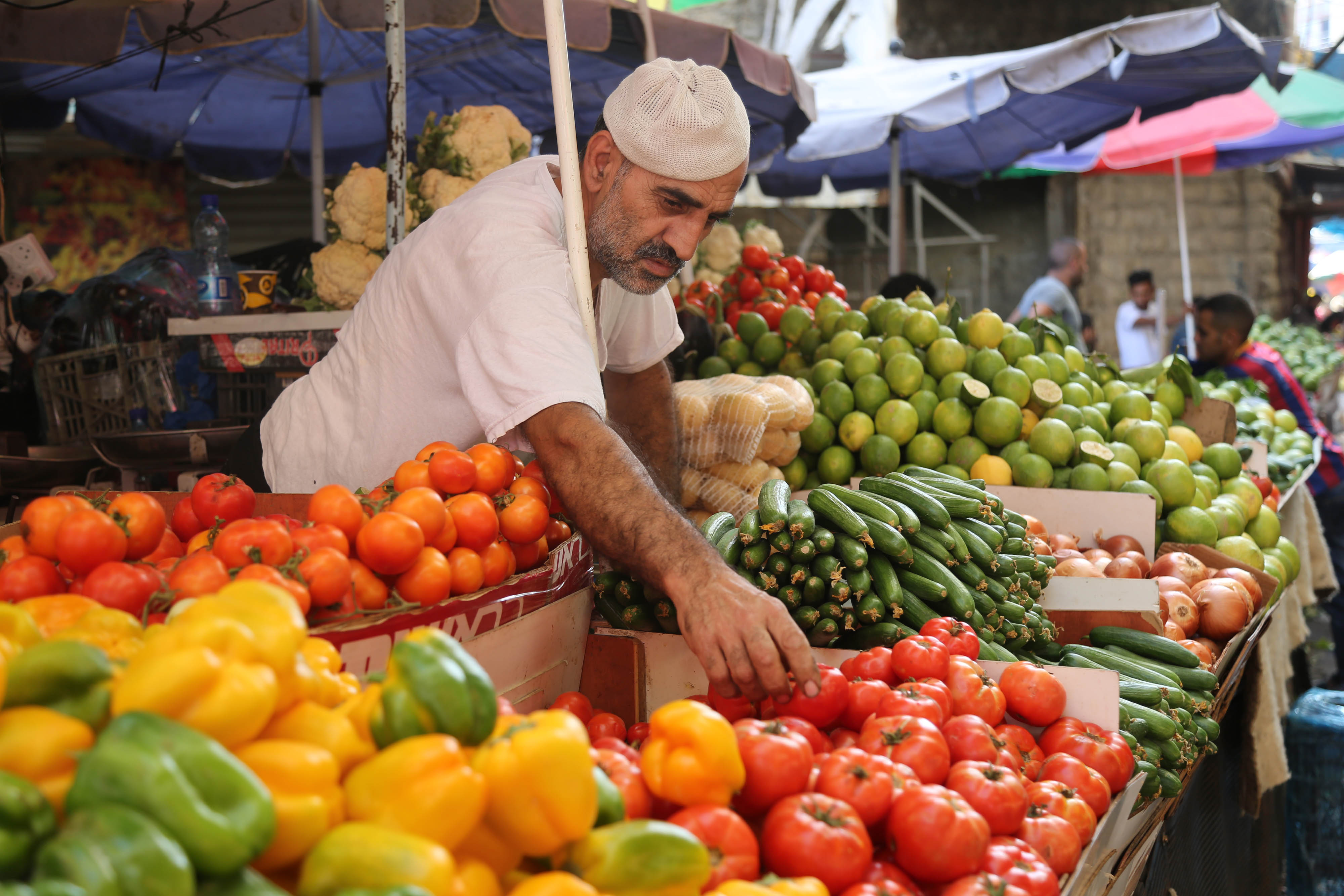 الإحصاء الفلسطيني: انخفاض في أسعار المنتج خلال شهر آذار