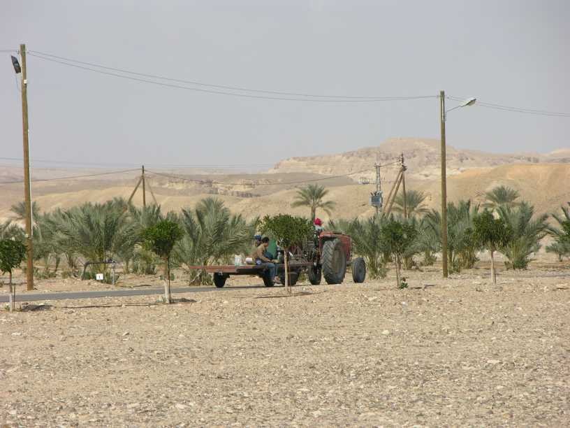 مزارعون إسرائيليون: «قرار ملك الأردن حكم إعدام»