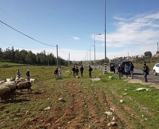 اصابة عدد من المواطنين باعتداء مستوطنين جنوب الخليل