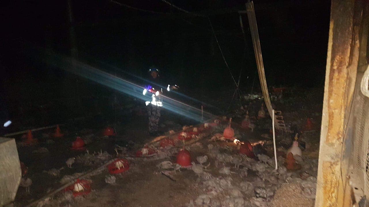 دفاع مدني طولكرم يخمد حريقاً بمزرعة دجاج شرق المحافظة