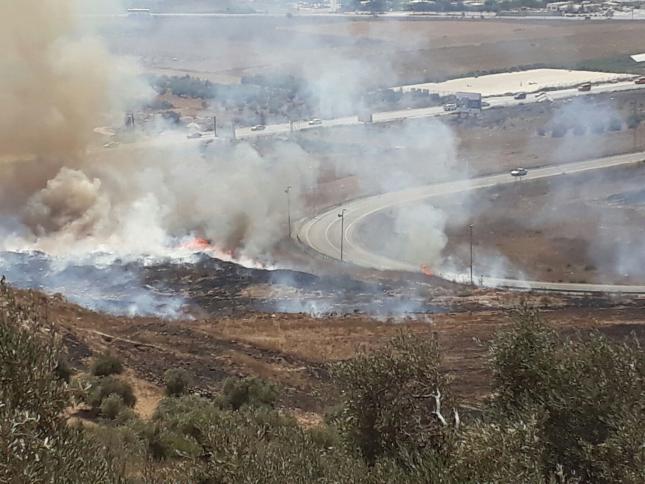 المستوطنون يضرمون النار بأراضي المواطنين في عوريف