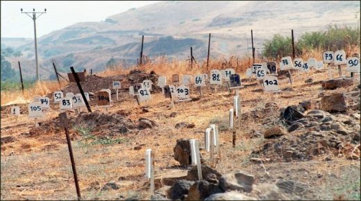 في اليوم الوطني لاسترداد جثامينهم: 304 شهداء في “مقابر الأرقام”