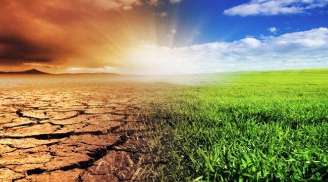 التغير المناخي “يضرب” معدة الإنسان