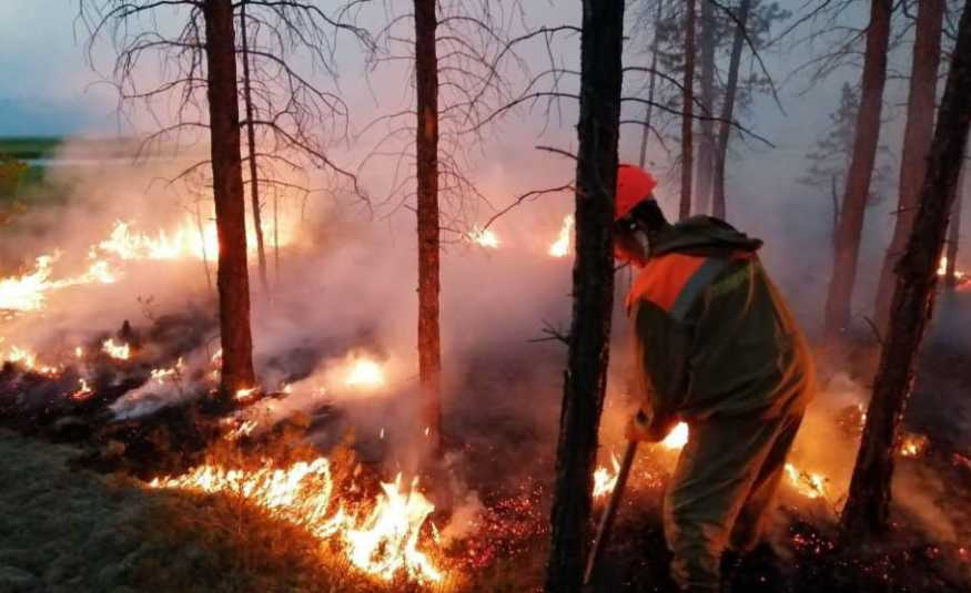تحقيقات روسية تؤكد أن حرائق غابات سيبيريا مفتعلة