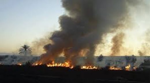حريق مهول يلتهم أكبر متنزه في العاصمة الجزائرية