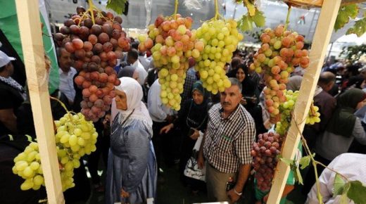 انطلاق فعاليات مهرجان “أيام العنب الخليلي” في البلدة القديمة وسط الخليل