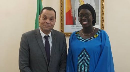 مالي: السفير شبلي يبحث مع وزيرة الاقتصاد الرقمي التعاون في مجالي الإعلام والحوكمة الالكترونية