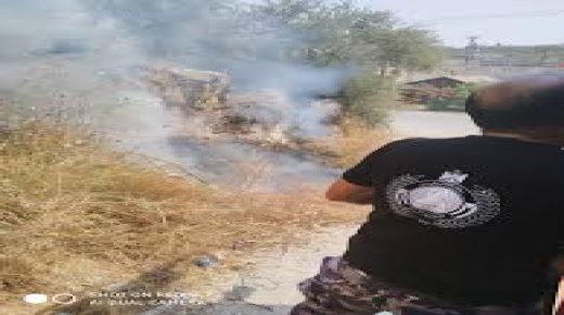 حرائق متفرقة تلتهم 210 اشجار زيتون ولوزيات في محافظة جنين
