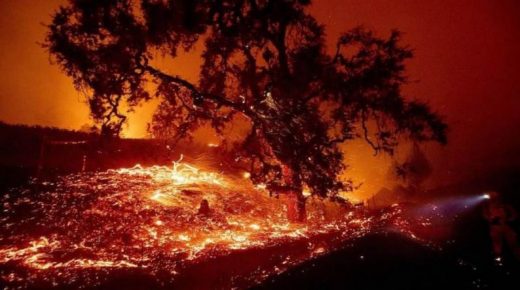 الحرائق تجتاح غابات كاليفورنيا