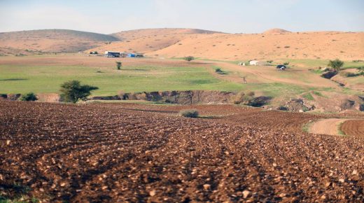 مستوطنون يستولون على نبع مياه في الأغوار