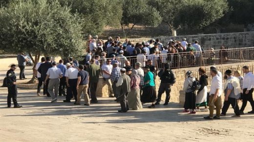 عشرات المستوطنين يقتحمون “الأقصى” وشرطة الإحتلال تدنس مُصلّى باب الرحمة