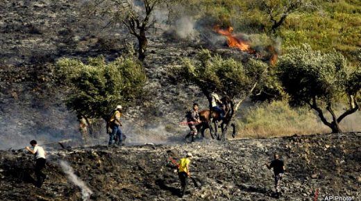 مستوطنون يحرقون أشجار زيتون في بورين
