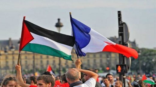 يوم تضامني مع فلسطين في مدينة ليل الفرنسية