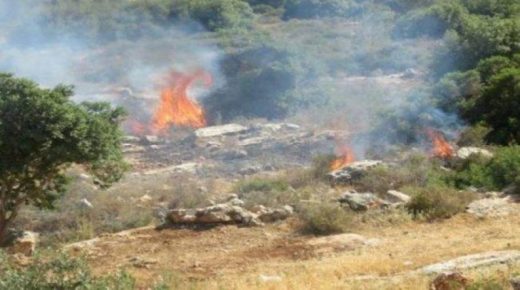 مستوطنون يضرمون النيران في أراضي مادما جنوب نابلس