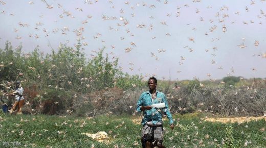 “غزو الجراد” في الصومال.. الأسوأ على مدى 70 عاما