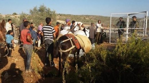 الاحتلال يمنع المزارعين من بيع محاصيلهم في منطقة الهِجرة