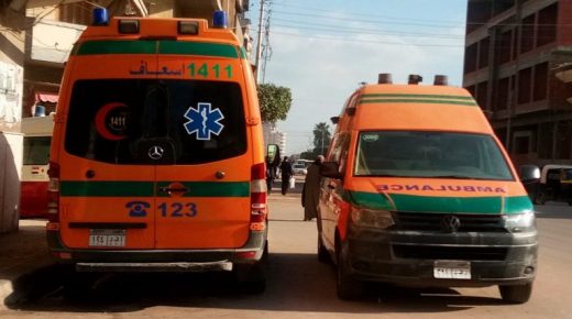 مصرع 6 بينهم أجانب وإصابة 24 في حادث سير مروع بمصر
