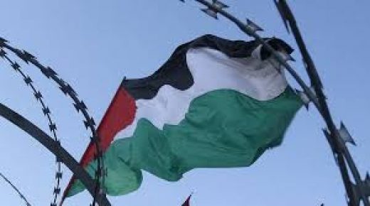 دولة فلسطين ترحب بإعلان “الجنائية الدولية” فتح تحقيق كامل في الأراضي الفلسطينية