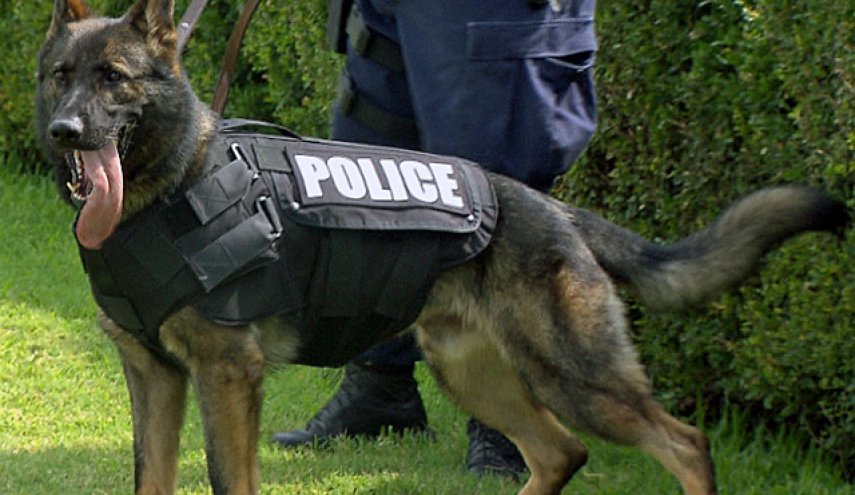 الولايات المتحدة توقف ارسال “الكلاب البوليسية” إلى الشرق الاوسط