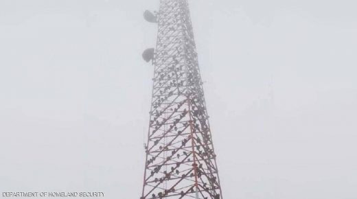 مئات النسور تحتل برج اتصالات أميركيا.. والسلطات في حيرة