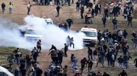 إصابة شاب واعتقال آخرين خلال قمع الاحتلال مسيرة “حماية الأغوار”