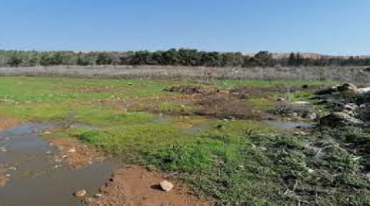 مستوطنون يغرقون أراضي زراعية في جلبون بالمياه العادمة