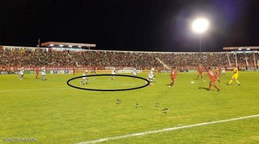 حكم يوقف مباراة بسبب “الخط المزدوج”.. ويأمر بإصلاحه فورا