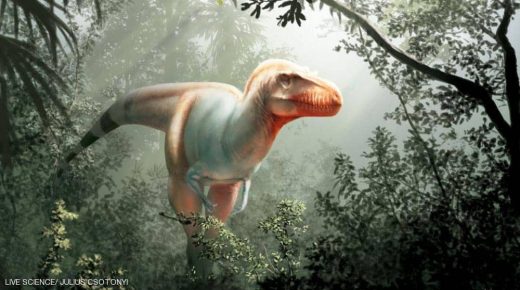 اكتشاف “حاصد الموت”.. فصيلة جديدة من الديناصورات